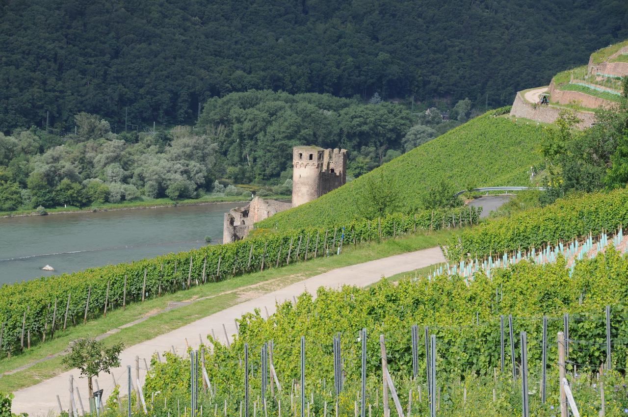 Hotel Krone Ruedesheim Rüdesheim am Rhein Εξωτερικό φωτογραφία